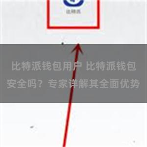 比特派钱包用户 比特派钱包安全吗？专家详解其全面优势