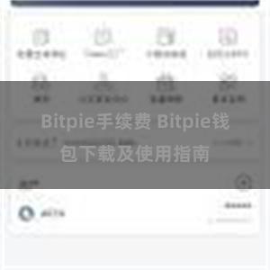 Bitpie手续费 Bitpie钱包下载及使用指南