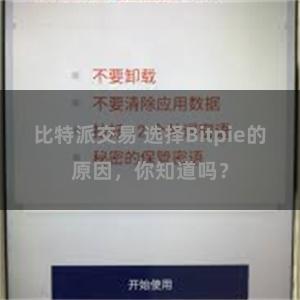 比特派交易 选择Bitpie的原因，你知道吗？