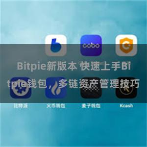 Bitpie新版本 快速上手Bitpie钱包，多链资产管理技巧