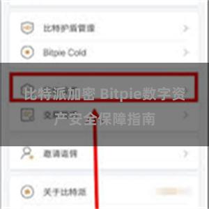 比特派加密 Bitpie数字资产安全保障指南