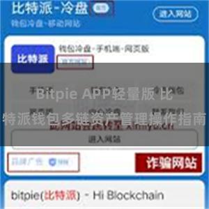 Bitpie APP轻量版 比特派钱包多链资产管理操作指南