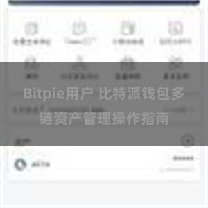 Bitpie用户 比特派钱包多链资产管理操作指南