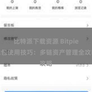 比特派下载资源 Bitpie钱包使用技巧：多链资产管理全攻略