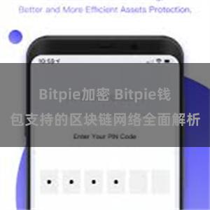 Bitpie加密 Bitpie钱包支持的区块链网络全面解析