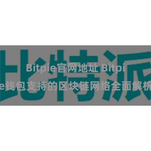 Bitpie官网地址 Bitpie钱包支持的区块链网络全面解析