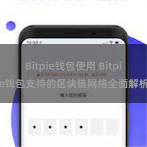 Bitpie钱包使用 Bitpie钱包支持的区块链网络全面解析