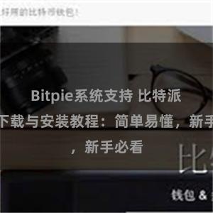 Bitpie系统支持 比特派钱包下载与安装教程：简单易懂，新手必看