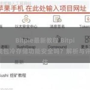 Bitpie最新教程 Bitpie钱包冷存储功能安全吗？解析与评估