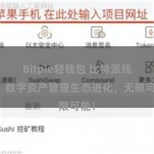 Bitpie轻钱包 比特派钱包：数字资产管理生态进化，无限可能！