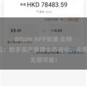 Bitpie APP安装 比特派钱包：数字资产管理生态进化，无限可能！