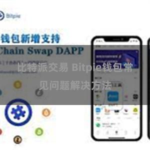 比特派交易 Bitpie钱包常见问题解决方法