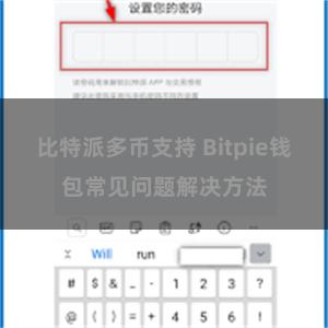 比特派多币支持 Bitpie钱包常见问题解决方法