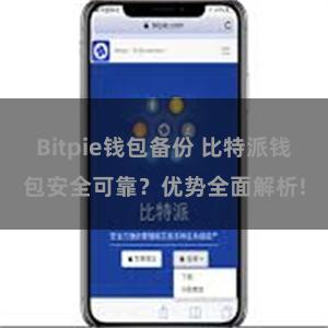 Bitpie钱包备份 比特派钱包安全可靠？优势全面解析!