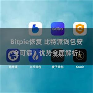 Bitpie恢复 比特派钱包安全可靠？优势全面解析!