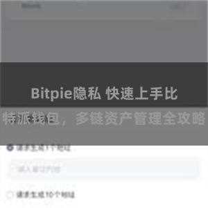 Bitpie隐私 快速上手比特派钱包，多链资产管理全攻略