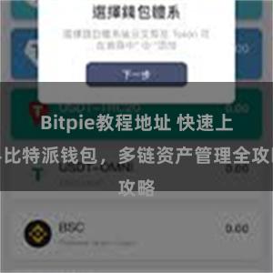 Bitpie教程地址 快速上手比特派钱包，多链资产管理全攻略