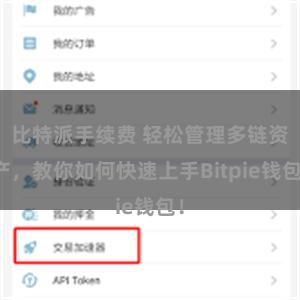 比特派手续费 轻松管理多链资产，教你如何快速上手Bitpie钱包！