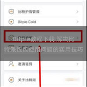 Bitpie教程下载 解决比特派钱包使用问题的实用技巧