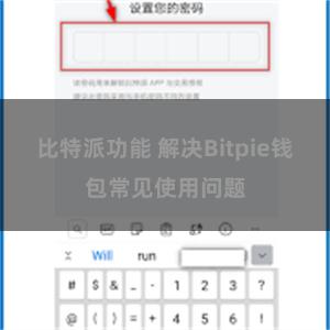 比特派功能 解决Bitpie钱包常见使用问题