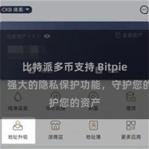 比特派多币支持 Bitpie钱包：强大的隐私保护功能，守护您的资产