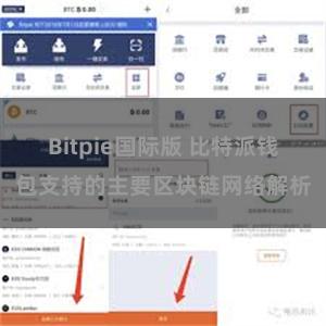 Bitpie国际版 比特派钱包支持的主要区块链网络解析