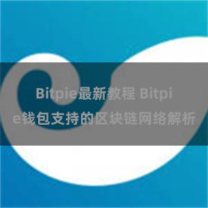 Bitpie最新教程 Bitpie钱包支持的区块链网络解析