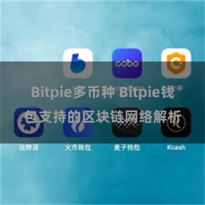 Bitpie多币种 Bitpie钱包支持的区块链网络解析