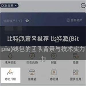 比特派官网推荐 比特派(Bitpie)钱包的团队背景与技术实力