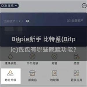 Bitpie新手 比特派(Bitpie)钱包有哪些隐藏功能？