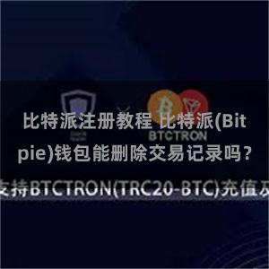 比特派注册教程 比特派(Bitpie)钱包能删除交易记录吗？