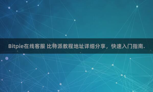 Bitpie在线客服 比特派教程地址详细分享，快速入门指南.