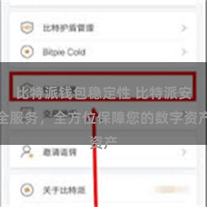 比特派钱包稳定性 比特派安全服务，全方位保障您的数字资产