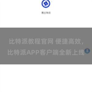 比特派教程官网 便捷高效，比特派APP客户端全新上线
