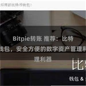 Bitpie转账 推荐：比特派钱包，安全方便的数字资产管理利器