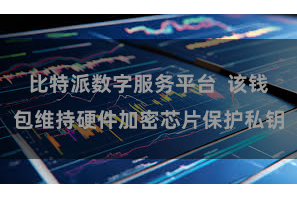 比特派数字服务平台 该钱包维持硬件加密芯片保护私钥