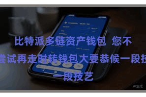 比特派多链资产钱包 您不错尝试再走时转钱包大要恭候一段技艺