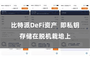 比特派DeFi资产  即私钥存储在脱机栽培上